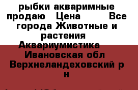 рыбки акваримные продаю › Цена ­ 30 - Все города Животные и растения » Аквариумистика   . Ивановская обл.,Верхнеландеховский р-н